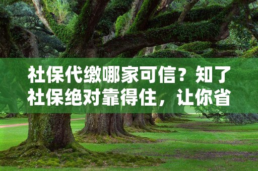 社保代缴哪家可信？知了社保绝对靠得住，让你省心又放心！