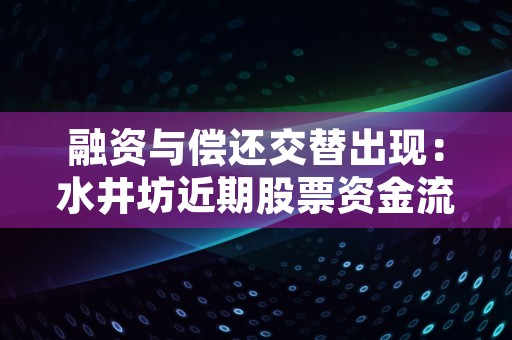 融资与偿还交替出现：水井坊近期股票资金流向揭秘！