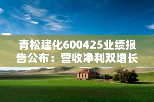 青松建化600425业绩报告公布：营收净利双增长，应收账款上升！