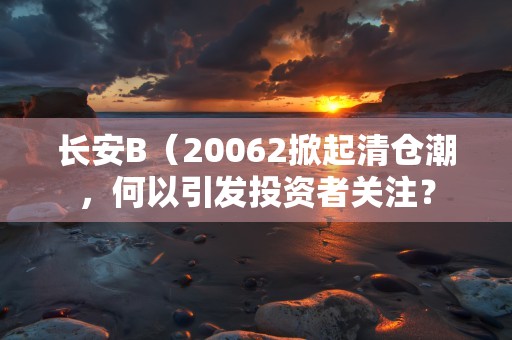 长安B（20062掀起清仓潮，何以引发投资者关注？