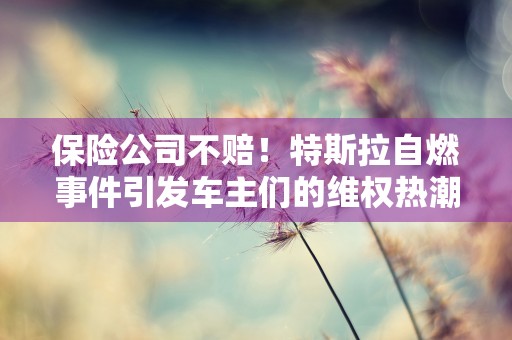 保险公司不赔！特斯拉自燃事件引发车主们的维权热潮！