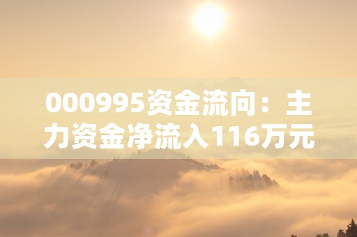 000995资金流向：主力资金净流入116万元，超大单净流入0.00元