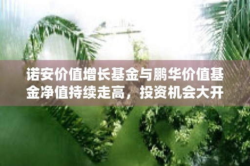 诺安价值增长基金与鹏华价值基金净值持续走高，投资机会大开！