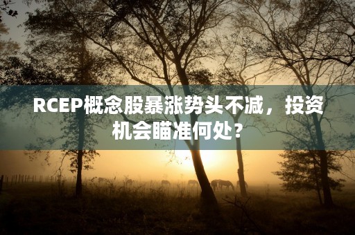 RCEP概念股暴涨势头不减，投资机会瞄准何处？