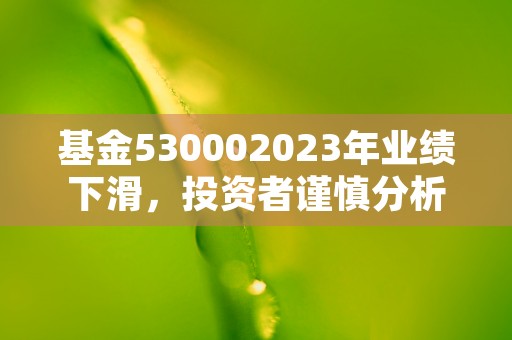 基金530002023年业绩下滑，投资者谨慎分析！