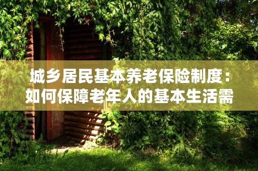 城乡居民基本养老保险制度：如何保障老年人的基本生活需求？