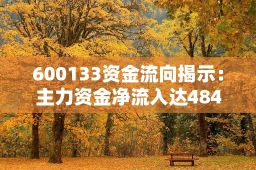 600133资金流向揭示：主力资金净流入达4840.22万元，市场呈现积极态势