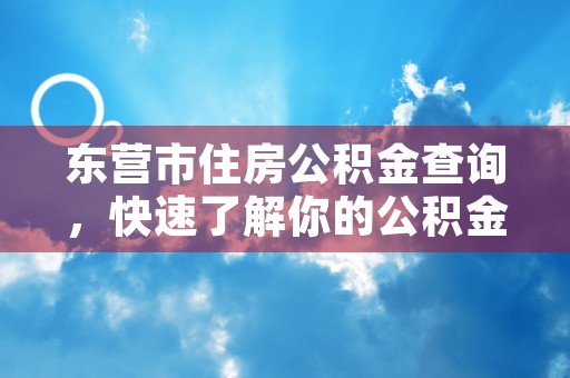 东营市住房公积金查询，快速了解你的公积金账户情况！