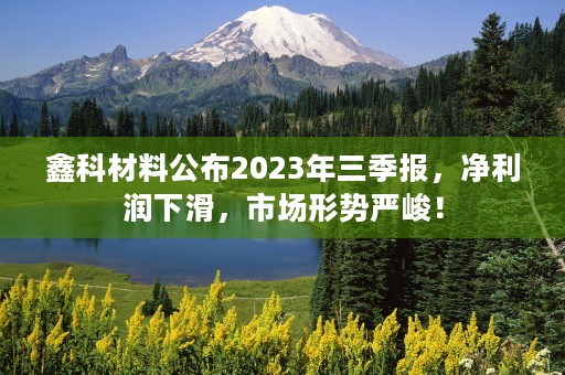 鑫科材料公布2023年三季报，净利润下滑，市场形势严峻！