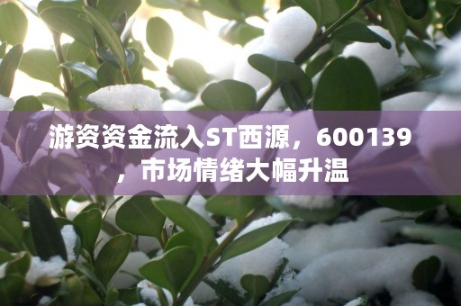 游资资金流入ST西源，600139，市场情绪大幅升温