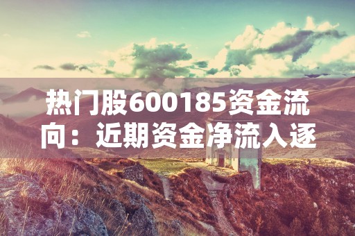 热门股600185资金流向：近期资金净流入逐渐加大，行情或将延续上涨趋势！