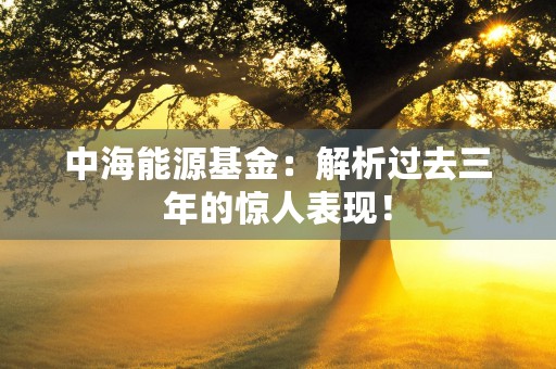 中海能源基金：解析过去三年的惊人表现！