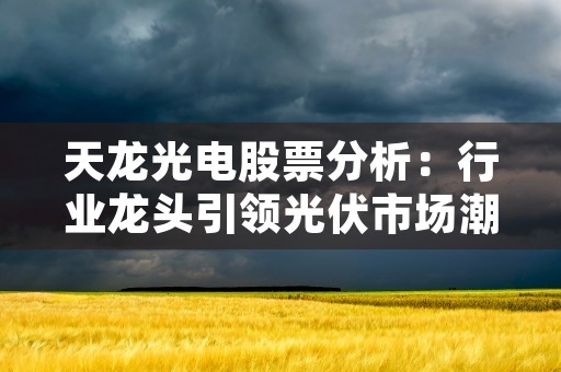 天龙光电股票分析：行业龙头引领光伏市场潮流