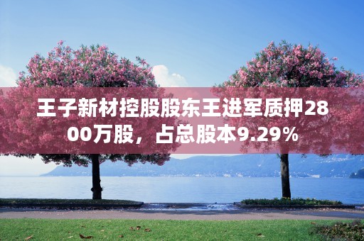 王子新材控股股东王进军质押2800万股，占总股本9.29%