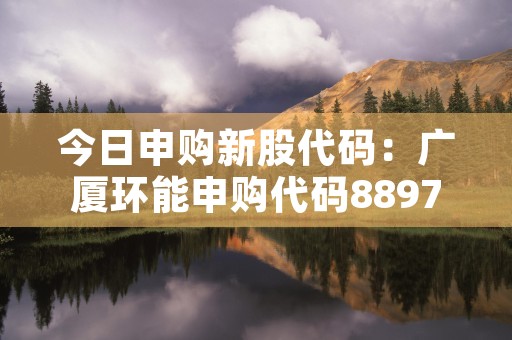今日申购新股代码：广厦环能申购代码889788，发行价245元，市盈率100倍