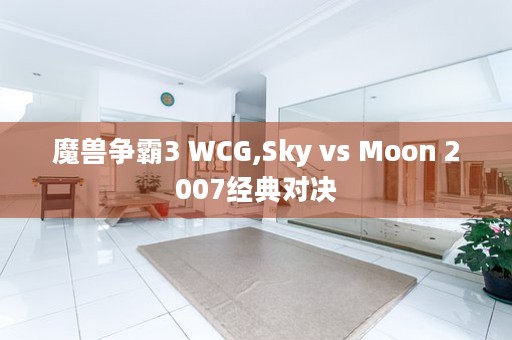 魔兽争霸3 WCG,Sky vs Moon 2007经典对决