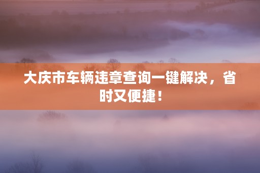 大庆市车辆违章查询一键解决，省时又便捷！