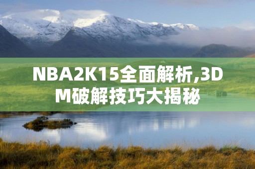 NBA2K15全面解析,3DM破解技巧大揭秘