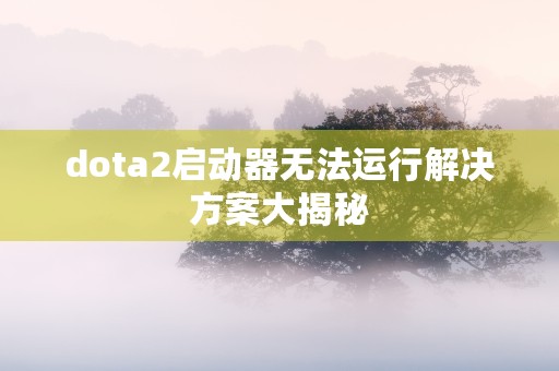 dota2启动器无法运行解决方案大揭秘