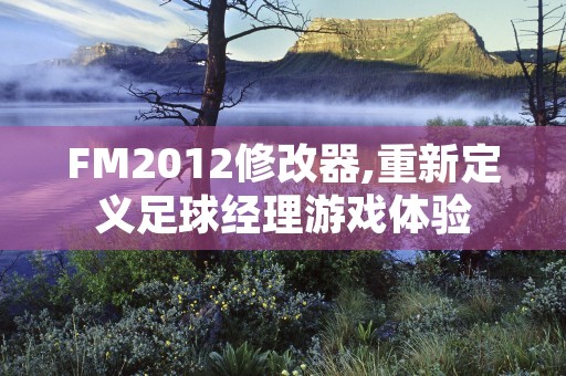 FM2012修改器,重新定义足球经理游戏体验