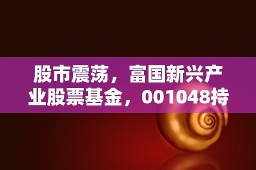 股市震荡，富国新兴产业股票基金，001048持续走强