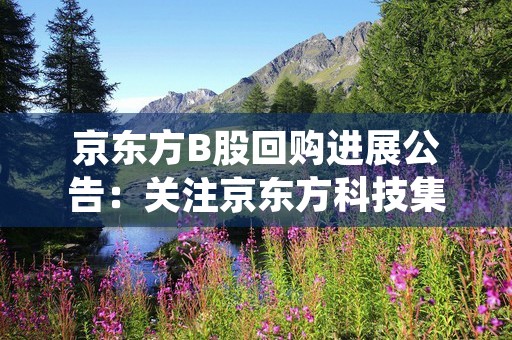 京东方B股回购进展公告：关注京东方科技集团股份有限公司的最新动态