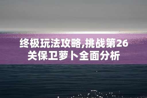 终极玩法攻略,挑战第26关保卫萝卜全面分析