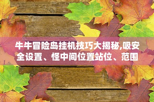 牛牛冒险岛挂机技巧大揭秘,吸安全设置、怪中间位置站位、范围挂机技能