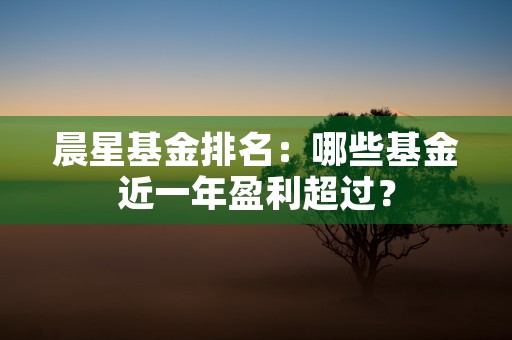 晨星基金排名：哪些基金近一年盈利超过？