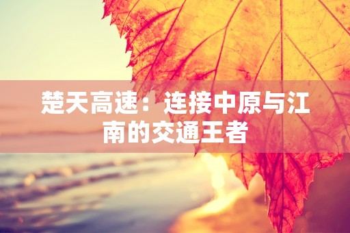 楚天高速：连接中原与江南的交通王者