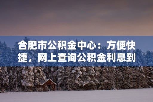 合肥市公积金中心：方便快捷，网上查询公积金利息到账！