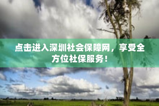 点击进入深圳社会保障网，享受全方位社保服务！