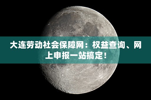 大连劳动社会保障网：权益查询、网上申报一站搞定！