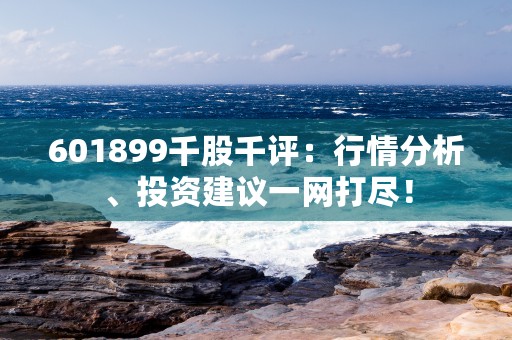 601899千股千评：行情分析、投资建议一网打尽！