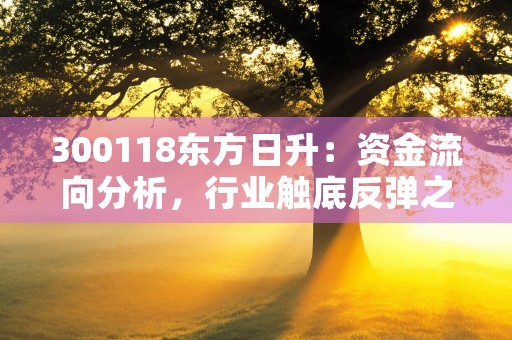 300118东方日升：资金流向分析，行业触底反弹之际！