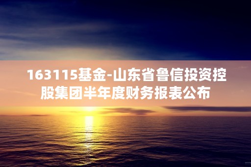 163115基金-山东省鲁信投资控股集团半年度财务报表公布