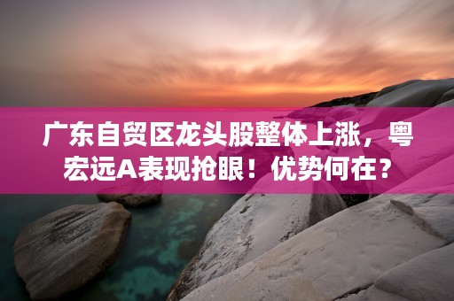 广东自贸区龙头股整体上涨，粤宏远A表现抢眼！优势何在？