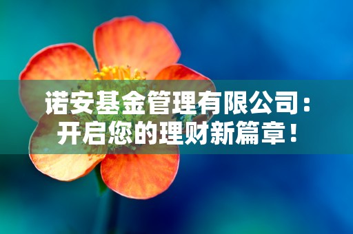 诺安基金管理有限公司：开启您的理财新篇章！