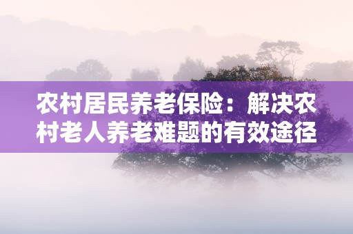 农村居民养老保险：解决农村老人养老难题的有效途径