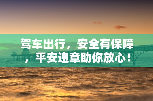 驾车出行，安全有保障，平安违章助你放心！