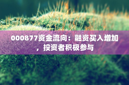 000877资金流向：融资买入增加，投资者积极参与