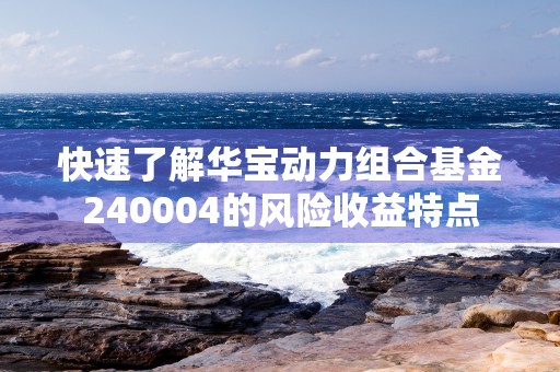 快速了解华宝动力组合基金240004的风险收益特点