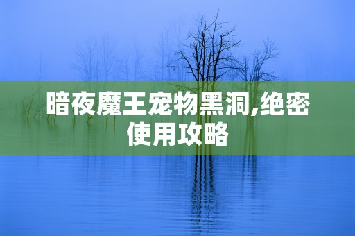 暗夜魔王宠物黑洞,绝密使用攻略