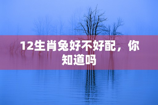 双子座和水瓶座配对率，看看他们是如何塑造完美爱情故事