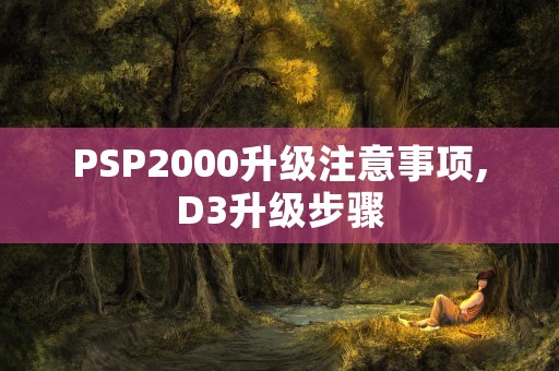 PSP2000升级注意事项,D3升级步骤