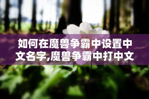 如何在魔兽争霸中设置中文名字,魔兽争霸中打中文名字的终极方法