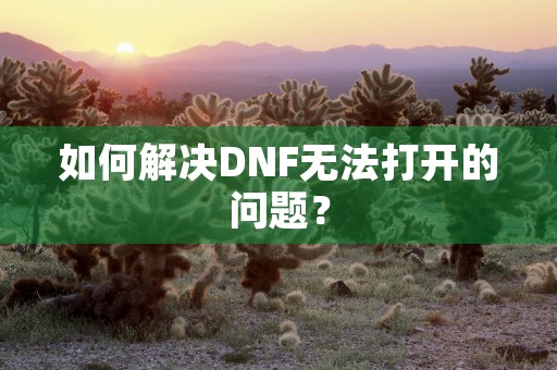 如何解决DNF无法打开的问题？