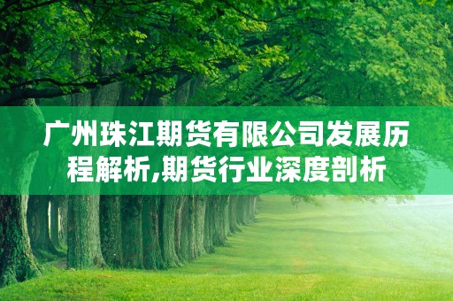 广州珠江期货有限公司发展历程解析,期货行业深度剖析