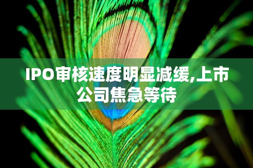 IPO审核速度明显减缓,上市公司焦急等待