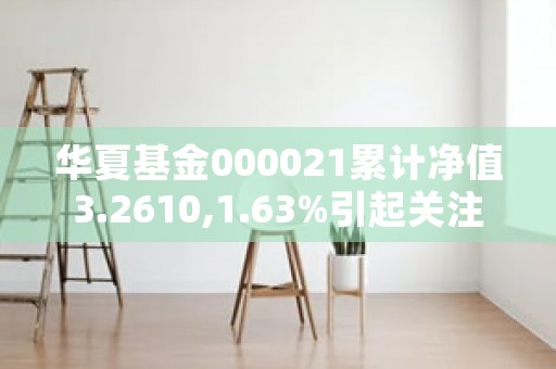 华夏基金000021累计净值3.2610,1.63%引起关注